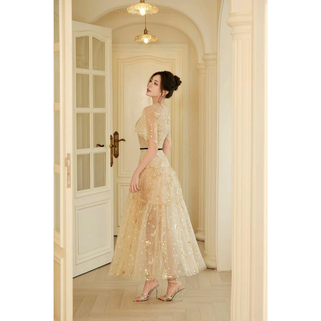 Star Sequin Dress