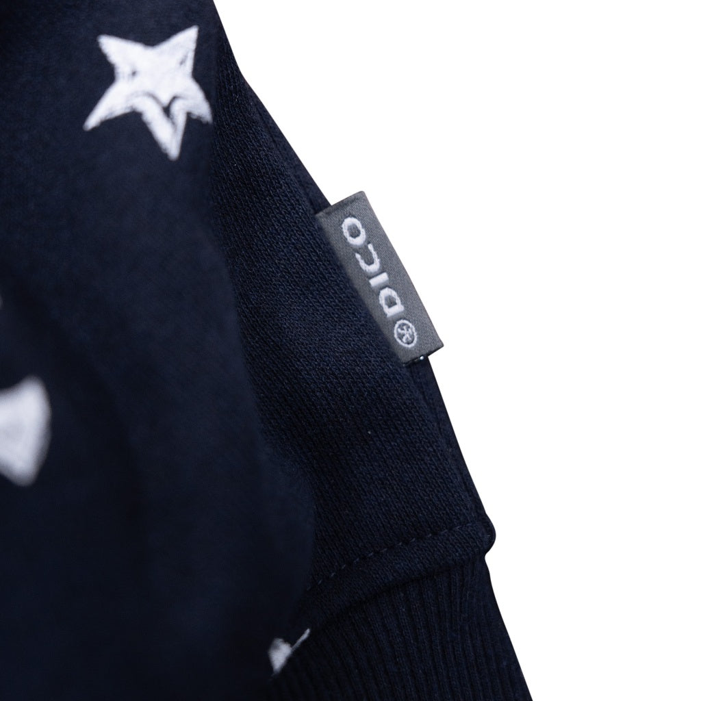 Dirty Coins Hoodie