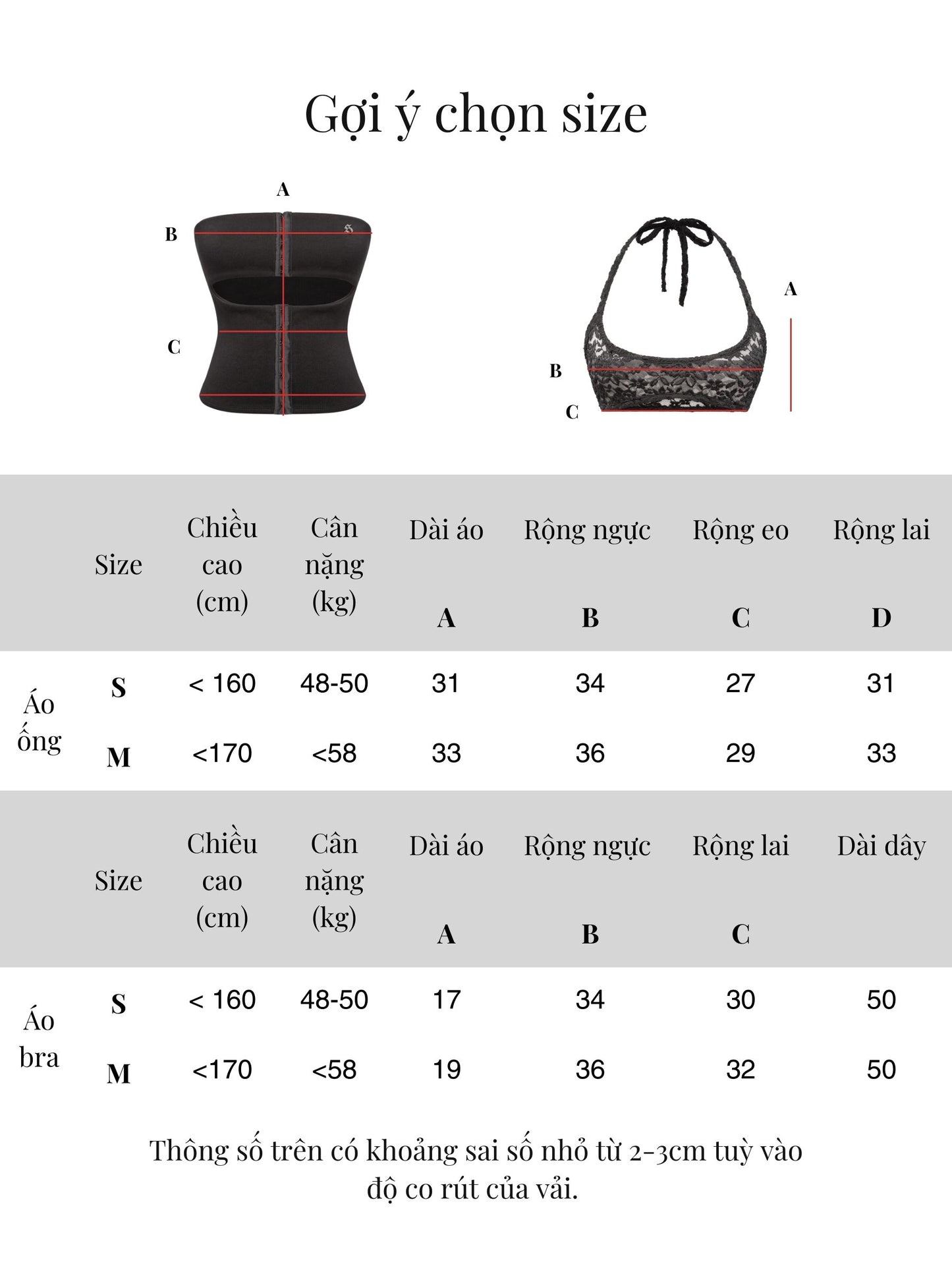 SISTERS - Cossi Set (Corset Tube Top & Lace Bra)