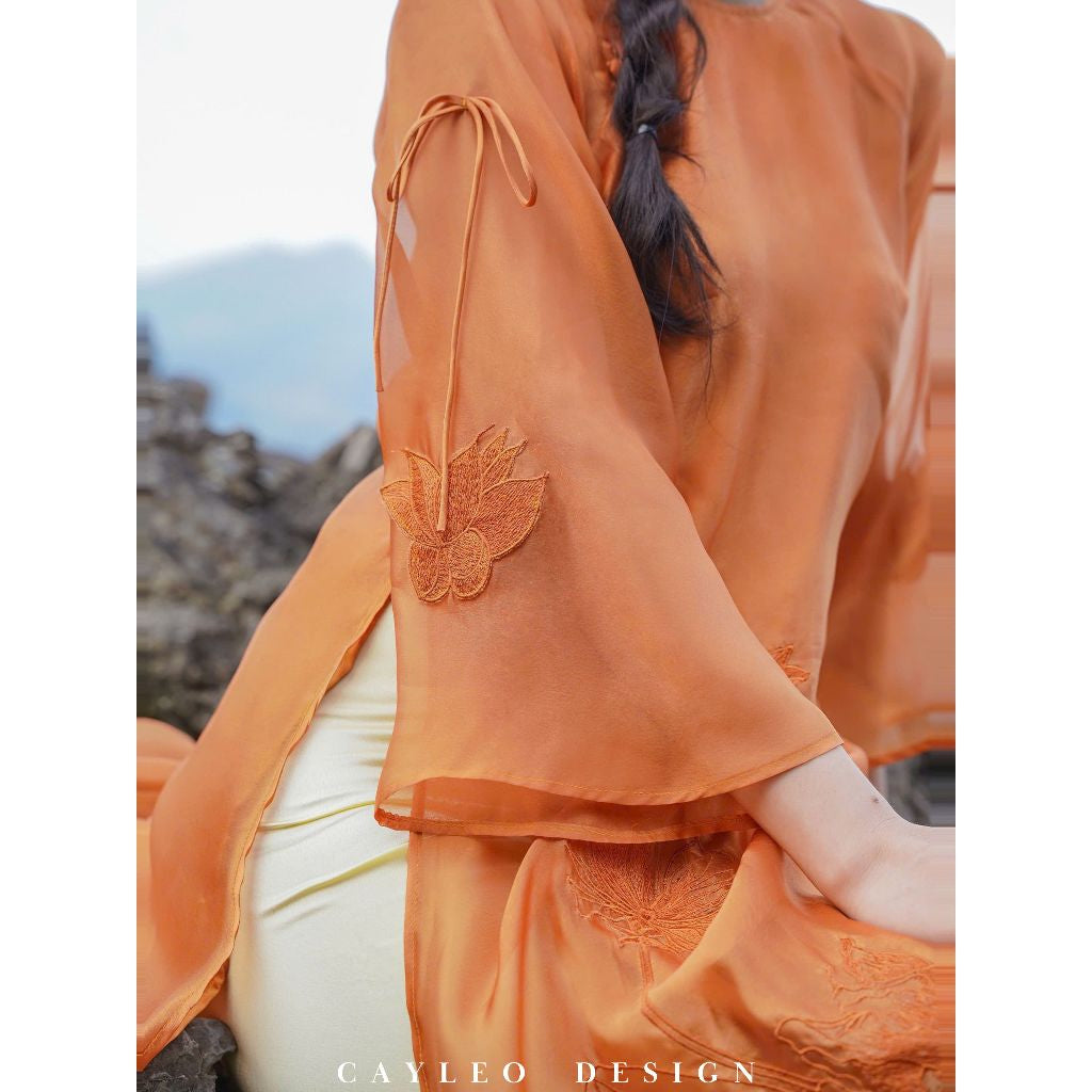 Hong Hy Ao Dai